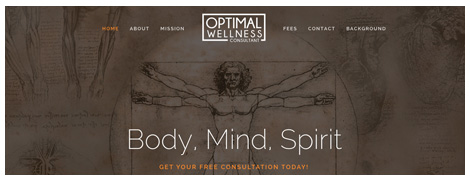 Optimal Wellness Consultant